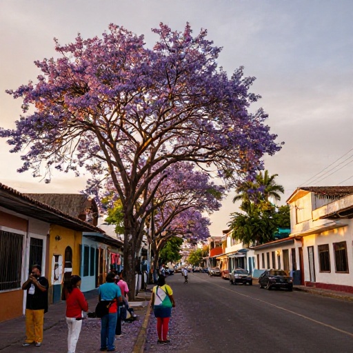 El Niño adelanta el florecimiento de los guayacanes en Colimes